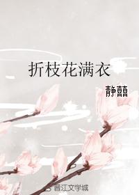 折枝花满衣