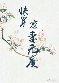 杜琳薇小说